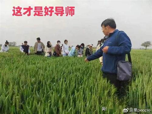 国产农学小视频,农业科技新风尚