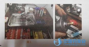 国产鱼轮钓鱼视频,视频揭秘高效钓鱼技巧