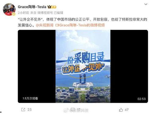 国产精品区视频网站,探索国内视频网站的独特魅力