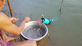 国产大黄鸭自拍视频在线,萌态可掬，网友直呼可爱到爆